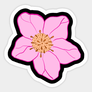 Hellebore Flower Sticker